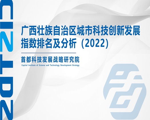 舔舔大肥骚逼视频【成果发布】广西壮族自治区城市科技创新发展指数排名及分析（2022）